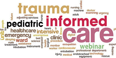 Trauma Informed Webinar Recap
